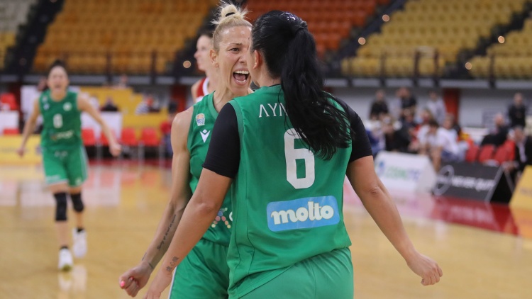 &Kappa;&alpha;&mu;&iota;&kappa;ά&zeta;&iota; &Pi;&alpha;&nu;&alpha;&theta;&eta;&nu;&alpha;ϊ&kappa;ό&sigmaf; &sigma;&tau;&omicron; &Sigma;&Epsilon;&Phi;, έ&beta;&alpha;&lambda;&epsilon; &phi;&omega;&tau;&iota;ά &sigma;&tau;&omicron;&upsilon;&sigmaf; &tau;&epsilon;&lambda;&iota;&kappa;&omicron;ύ&sigmaf;