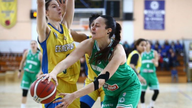 &Kappa;&upsilon;&kappa;&lambda;&omicron;&phi;ό&rho;&eta;&sigma;&alpha;&nu; &tau;&alpha; &epsilon;&iota;&sigma;&iota;&tau;ή&rho;&iota;&alpha; &tau;&omicron;&upsilon; &tau;&epsilon;&lambda;&iota;&kappa;&omicron;ύ &Kappa;&upsilon;&pi;έ&lambda;&lambda;&omicron;&upsilon; &sigma;&tau;&omicron; &Eta;&rho;ά&kappa;&lambda;&epsilon;&iota;&omicron;