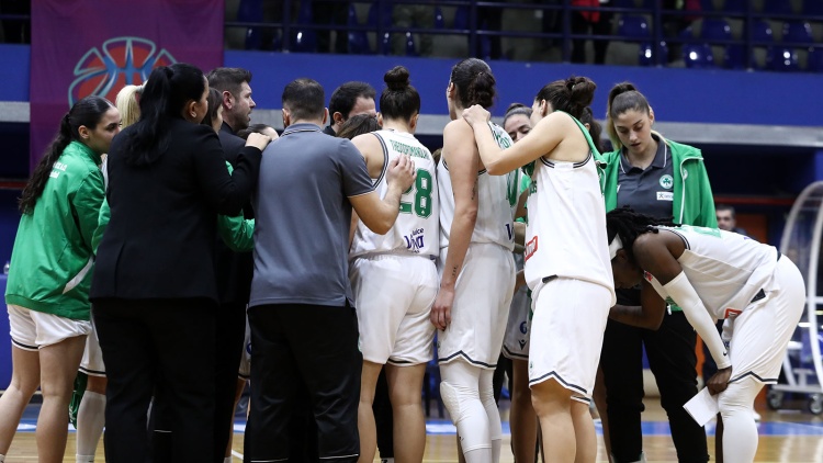 Ά&rho;&kappa;&alpha; &Gamma;&kappa;&nu;&tau;ί&nu;&iota;&alpha; - &Pi;&alpha;&nu;&alpha;&theta;&eta;&nu;&alpha;ϊ&kappa;ό&sigmaf;: &laquo;&Psi;ά&chi;&nu;&epsilon;&iota;&raquo; &tau;&epsilon;&rho;ά&sigma;&tau;&iota;&omicron; &delta;&iota;&pi;&lambda;ό &pi;&rho;ό&kappa;&rho;&iota;&sigma;&eta;&sigmaf; &sigma;&tau;&eta;&nu; &Pi;&omicron;&lambda;&omega;&nu;ί&alpha;
