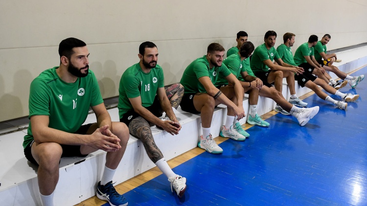 &Phi;&iota;&lambda;&iota;&kappa;ό &pi;&rho;&omicron;&pi;&omicron;&nu;&eta;&tau;&iota;&kappa;&omicron;ύ &chi;&alpha;&rho;&alpha;&kappa;&tau;ή&rho;&alpha; &gamma;&iota;&alpha; &tau;&omicron;&nu; &Pi;&alpha;&nu;&alpha;&theta;&eta;&nu;&alpha;ϊ&kappa;ό