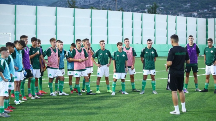 &Xi;&epsilon;&kappa;ί&nu;&eta;&sigma;&epsilon; &eta; &pi;&rho;&omicron;&epsilon;&tau;&omicron;&iota;&mu;&alpha;&sigma;ί&alpha; &gamma;&iota;&alpha; &tau;&iota;&sigmaf; &omicron;&mu;ά&delta;&epsilon;&sigmaf; &Kappa;15 &kappa;&alpha;&iota; &Kappa;16 &tau;&omicron;&upsilon; &Pi;&alpha;&nu;&alpha;&theta;&eta;&nu;&alpha;ϊ&kappa;&omicron;ύ