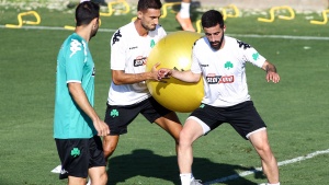 &Omicron;&iota; &laquo;&pi;&rho;ά&sigma;&iota;&nu;&epsilon;&sigmaf;&raquo; &delta;&upsilon;ά&delta;&epsilon;&sigmaf; &sigma;&tau;&alpha; &delta;&omega;&mu;ά&tau;&iota;&alpha;