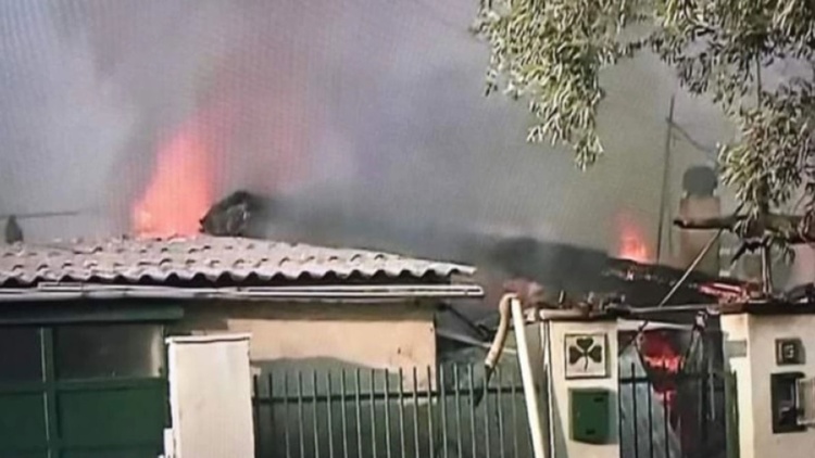 &Sigma;&tau;&omicron; &pi;&lambda;&epsilon;&upsilon;&rho;ό &tau;&omicron;&upsilon; &iota;&delta;&iota;&omicron;&kappa;&tau;ή&tau;&eta; &tau;&omicron;&upsilon; &kappa;&alpha;&mu;έ&nu;&omicron;&upsilon; &sigma;&pi;&iota;&tau;&iota;&omicron;ύ &mu;&epsilon; &tau;&alpha; &tau;&rho;&iota;&phi;ύ&lambda;&lambda;&iota;&alpha; &omicron;&iota; &omicron;&pi;&alpha;&delta;&omicron;ί &tau;&omicron;&upsilon; &Pi;&alpha;&nu;&alpha;&theta;&eta;&nu;&alpha;ϊ&kappa;&omicron;ύ