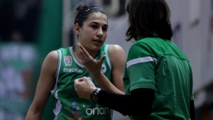 &Pi;&alpha;&rho;&alpha;&mu;έ&nu;&epsilon;&iota; &laquo;&pi;&rho;ά&sigma;&iota;&nu;&eta;&raquo; &eta; &Delta;ί&epsilon;&lambda;&alpha;