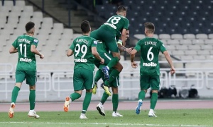 &Mu;ί&alpha; &omicron;&iota;&kappa;&omicron;&gamma;έ&nu;&epsilon;&iota;&alpha; &omicron;&iota; &pi;&alpha;ί&kappa;&tau;&epsilon;&sigmaf; &tau;&omicron;&upsilon; &Pi;&alpha;&nu;&alpha;&theta;&eta;&nu;&alpha;ϊ&kappa;&omicron;ύ (pic)