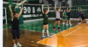 &Alpha;&nu;&epsilon;&beta;ά&zeta;&omicron;&upsilon;&nu; &sigma;&tau;&rho;&omicron;&phi;έ&sigmaf; &tau;&alpha; &laquo;&phi;ί&nu;&alpha;&raquo; &kappa;&omicron;&rho;ί&tau;&sigma;&iota;&alpha;