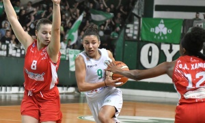 &Delta;ύ&sigma;&kappa;&omicron;&lambda;&eta; &alpha;&pi;&omicron;&sigma;&tau;&omicron;&lambda;ή &sigma;&tau;&alpha; &Chi;&alpha;&nu;&iota;ά &gamma;&iota;&alpha; &tau;&iota;&sigmaf; &laquo;&pi;&rho;ά&sigma;&iota;&nu;&epsilon;&sigmaf; &alpha;&mu;&alpha;&zeta;ό&nu;&epsilon;&sigmaf;&raquo;