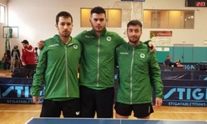 &Tau;έ&sigma;&sigma;&epsilon;&rho;&alpha; &laquo;&tau;&rho;&iota;&phi;ύ&lambda;&lambda;&iota;&alpha;&raquo; &sigma;&tau;&iota;&sigmaf; &pi;&rho;ώ&tau;&epsilon;&sigmaf; &pi;&epsilon;&nu;&tau;ά&delta;&epsilon;&sigmaf;