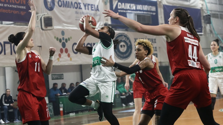 &Sigma;&tau;&eta;&nu; &kappa;&epsilon;&nu;&tau;&rho;&iota;&kappa;ή &sigma;ά&lambda;&alpha; &tau;&omicron;&upsilon; &Sigma;&Epsilon;&Phi; &omicron; &pi;&rho;ώ&tau;&omicron;&sigmaf; &tau;&epsilon;&lambda;&iota;&kappa;ό&sigmaf;