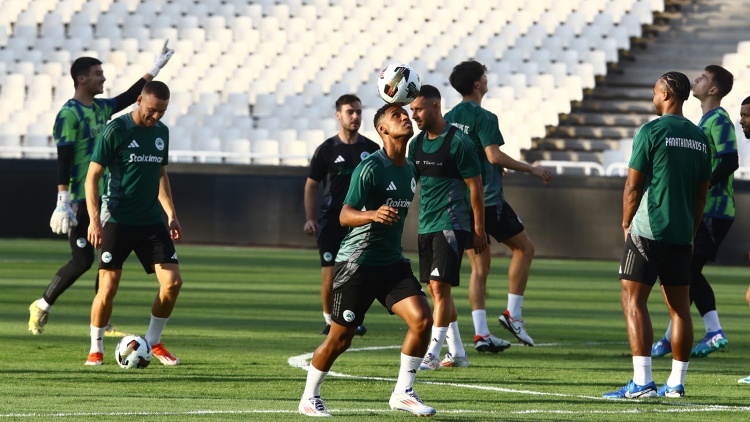 &Chi;&omega;&rho;ί&sigmaf; &pi;&rho;&omicron;&beta;&lambda;ή&mu;&alpha;&tau;&alpha; &eta; &pi;&rho;&omicron;&pi;ό&nu;&eta;&sigma;&eta; &tau;&omicron;&upsilon; &Pi;&alpha;&nu;&alpha;&theta;&eta;&nu;&alpha;ϊ&kappa;&omicron;ύ &epsilon;&nu;ό&psi;&epsilon;&iota; &Pi;&alpha;&nu;&sigma;&epsilon;&rho;&rho;&alpha;ϊ&kappa;&omicron;ύ