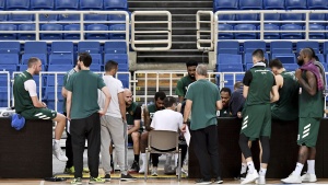 &Epsilon;&pi;έ&sigma;&tau;&rho;&epsilon;&psi;&alpha;&nu; &sigma;&tau;&iota;&sigmaf; &pi;&rho;&omicron;&pi;&omicron;&nu;ή&sigma;&epsilon;&iota;&sigmaf; &omicron;&iota; &laquo;&pi;&rho;ά&sigma;&iota;&nu;&omicron;&iota;&raquo;