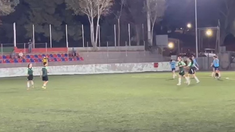 &Phi;&iota;&lambda;&iota;&kappa;ή &tau;&rho;&iota;ά&rho;&alpha; &gamma;&iota;&alpha; &tau;&alpha; &kappa;&omicron;&rho;ί&tau;&sigma;&iota;&alpha; &tau;&omicron;&upsilon; &Pi;&alpha;&nu;&alpha;&theta;&eta;&nu;&alpha;ϊ&kappa;&omicron;ύ