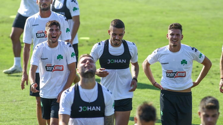 &Pi;&rho;&omicron;&pi;ό&nu;&eta;&sigma;&eta; &chi;&omega;&rho;ί&sigmaf; &pi;&rho;&omicron;&beta;&lambda;ή&mu;&alpha;&tau;&alpha; &gamma;&iota;&alpha; &tau;&omicron;&nu; &Pi;&alpha;&nu;&alpha;&theta;&eta;&nu;&alpha;ϊ&kappa;ό