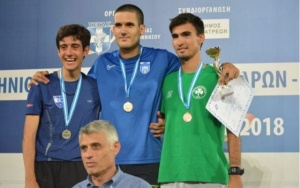 &Chi;ά&lambda;&kappa;&iota;&nu;&omicron; &omicron; &Pi;&alpha;&pi;&omicron;ύ&lambda;&iota;&alpha;&sigmaf; &sigma;&tau;&omicron; &Pi;&alpha;&nu;&epsilon;&lambda;&lambda;ή&nu;&iota;&omicron; &Pi;&rho;&omega;&tau;ά&theta;&lambda;&eta;&mu;&alpha;