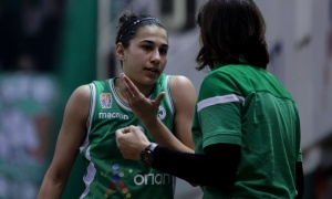 &Xi;&epsilon;&mu;&omicron;ύ&delta;&iota;&alpha;&sigma;&alpha;&nu; &mu;&epsilon; &phi;&iota;&lambda;&iota;&kappa;ό &tau;&alpha; &kappa;&omicron;&rho;ί&tau;&sigma;&iota;&alpha; &tau;&omicron;&upsilon; &mu;&pi;ά&sigma;&kappa;&epsilon;&tau;