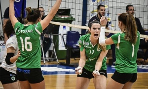 &Epsilon;&mu;&beta;ό&lambda;&iota;&mu;&eta; &alpha;&gamma;&omega;&nu;&iota;&sigma;&tau;&iota;&kappa;ή &mu;&epsilon; &Pi;&omicron;&rho;&phi;ύ&rho;&alpha; &gamma;&iota;&alpha; &tau;&alpha; &laquo;&phi;ί&nu;&alpha; &kappa;&omicron;&rho;ί&tau;&sigma;&iota;&alpha;&raquo;