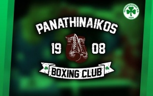 M&epsilon; 4 &pi;&upsilon;&gamma;&mu;ά&chi;&omicron;&upsilon;&sigmaf; &sigma;&tau;&omicron; &Pi;&alpha;&nu;&epsilon;&lambda;&lambda;ή&nu;&iota;&omicron; &Pi;&rho;&omega;&tau;ά&theta;&lambda;&eta;&mu;&alpha; &Nu;έ&omega;&nu;