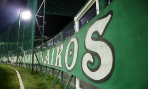 &Delta;ό&theta;&eta;&kappa;&alpha;&nu; &tau;&alpha; &omicron;&iota;&kappa;&omicron;&nu;&omicron;&mu;&iota;&kappa;ά &sigma;&tau;&omicron;&iota;&chi;&epsilon;ί&alpha; &sigma;&tau;&omicron;&upsilon;&sigmaf; &omicron;&rho;&gamma;&alpha;&nu;&omega;&mu;έ&nu;&omicron;&upsilon;&sigmaf;