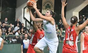 &laquo;&Pi;&rho;ά&sigma;&iota;&nu;&omicron;&raquo; &delta;&iota;&pi;&lambda;ό &mu;&epsilon; &pi;&lambda;ά&nu;&omicron; &kappa;&alpha;&iota; &psi;&upsilon;&chi;ή