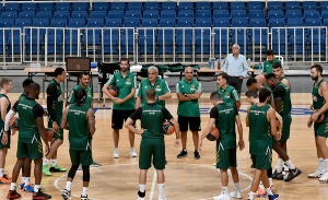 &Alpha;&phi;&iota;έ&rho;&omega;&mu;&alpha; &tau;&omicron;&upsilon; &Epsilon;&Sigma;&Alpha;&Kappa;&Epsilon; &sigma;&tau;&omicron;&nu; &Pi;&alpha;&nu;&alpha;&theta;&eta;&nu;&alpha;ϊ&kappa;ό