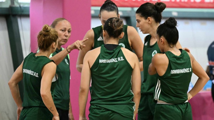&Phi;&iota;&lambda;&iota;&kappa;ή ή&tau;&tau;&alpha; &gamma;&iota;&alpha; &tau;&alpha; &kappa;&omicron;&rho;ί&tau;&sigma;&iota;&alpha; &tau;&omicron;&upsilon; &Pi;&alpha;&nu;&alpha;&theta;&eta;&nu;&alpha;ϊ&kappa;&omicron;ύ