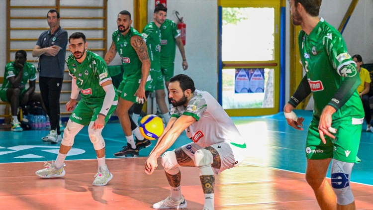 &Phi;&iota;&lambda;&iota;&kappa;ή &iota;&sigma;&omicron;&pi;&alpha;&lambda;ί&alpha; &gamma;&iota;&alpha; &tau;&omicron;&nu; &Pi;&alpha;&nu;&alpha;&theta;&eta;&nu;&alpha;ϊ&kappa;ό