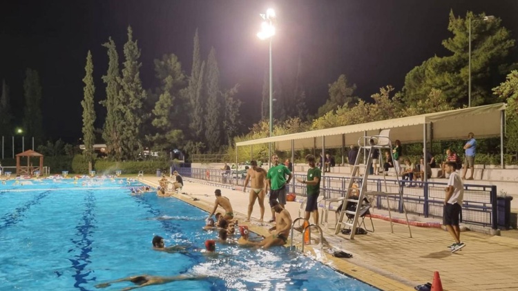 &Phi;&iota;&lambda;&iota;&kappa;ή ή&tau;&tau;&alpha; &gamma;&iota;&alpha; &tau;&omicron; &pi;ό&lambda;&omicron; &tau;&omicron;&upsilon; &Pi;&alpha;&nu;&alpha;&theta;&eta;&nu;&alpha;ϊ&kappa;&omicron;ύ