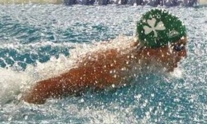 Έ&nu;&tau;&omicron;&nu;&omicron; &tau;&omicron; &pi;&rho;ά&sigma;&iota;&nu;&omicron; &chi;&rho;ώ&mu;&alpha; &sigma;&tau;&iota;&sigmaf; &pi;&rho;&omicron;&epsilon;&theta;&nu;&iota;&kappa;έ&sigmaf;