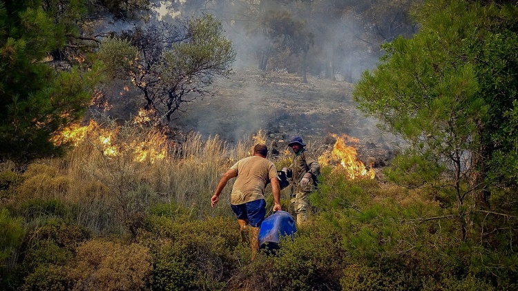 &Tau;&omicron; &mu;ή&nu;&upsilon;&mu;&alpha; &tau;&omicron;&upsilon; &Pi;&alpha;&nu;&alpha;&theta;&eta;&nu;&alpha;ϊ&kappa;&omicron;ύ &gamma;&iota;&alpha; &tau;&iota;&sigmaf; &phi;&omega;&tau;&iota;έ&sigmaf; &sigma;&tau;&eta;&nu; &Epsilon;&lambda;&lambda;ά&delta;&alpha; (pic)