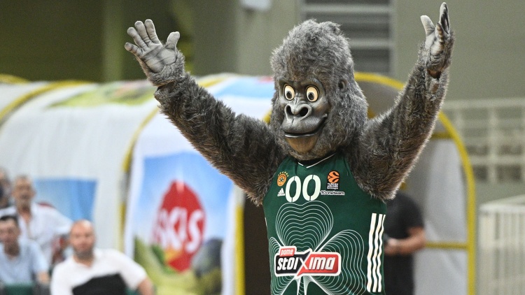 To &kappa;ά&lambda;&epsilon;&sigma;&mu;&alpha; &tau;&omicron;&upsilon; Green Kong &sigma;&tau;&omicron;&upsilon;&sigmaf; &phi;ί&lambda;&omicron;&upsilon;&sigmaf; &tau;&omicron;&upsilon; &Pi;&alpha;&nu;&alpha;&theta;&eta;&nu;&alpha;ϊ&kappa;&omicron;ύ &sigma;&tau;&omicron; &Omicron;&Alpha;&Kappa;&Alpha; (vid)
