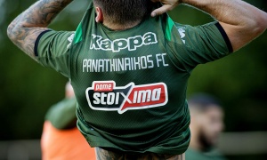 &Delta;&epsilon;&nu; &alpha;&phi;&omicron;&rho;&omicron;ύ&nu; &xi;&epsilon;&nu;ύ&chi;&tau;&iota;&alpha; &tau;&alpha; &pi;&rho;ό&sigma;&tau;&iota;&mu;&alpha; &sigma;&tau;&omicron;&nu; &Pi;&alpha;&nu;&alpha;&theta;&eta;&nu;&alpha;ϊ&kappa;ό